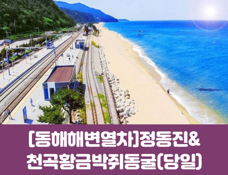 /upload/cltour/image/goods/main/30000060/cltour_cm9900_30000115.png
